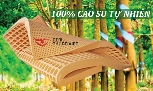 Nệm cao su làm từ 100% thiên nhiên - Nệm Thuần Việt