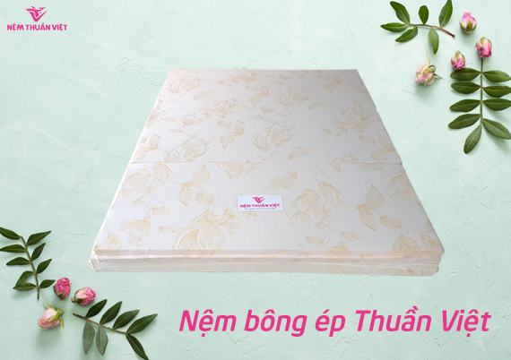 Nệm bông ép thuần việt