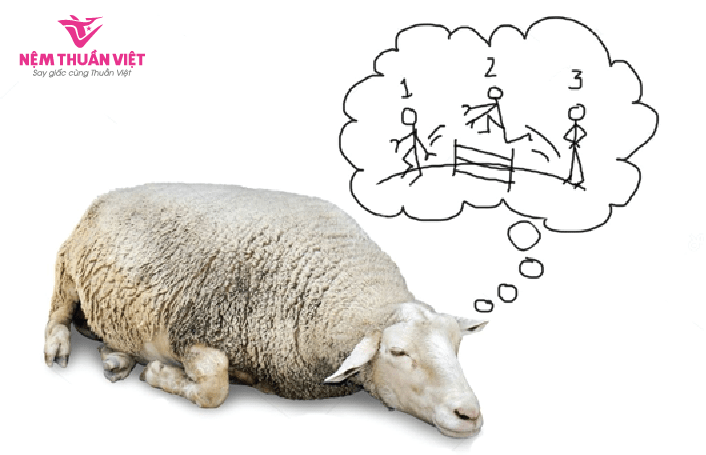 đếm cừu giúp ngủ ngon
