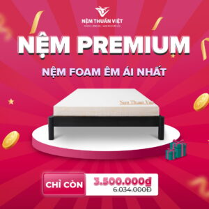 Nệm Foam Thuần Việt Premium