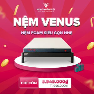 Nệm Foam Thuần Việt Venus
