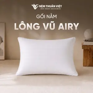 Gối nằm lông vũ