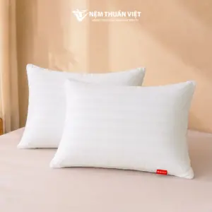 Gối nằm lông vũ 1