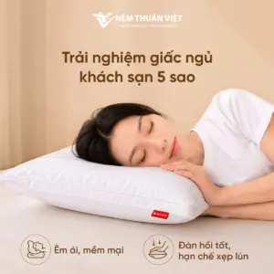 Gối nằm lông vũ 2