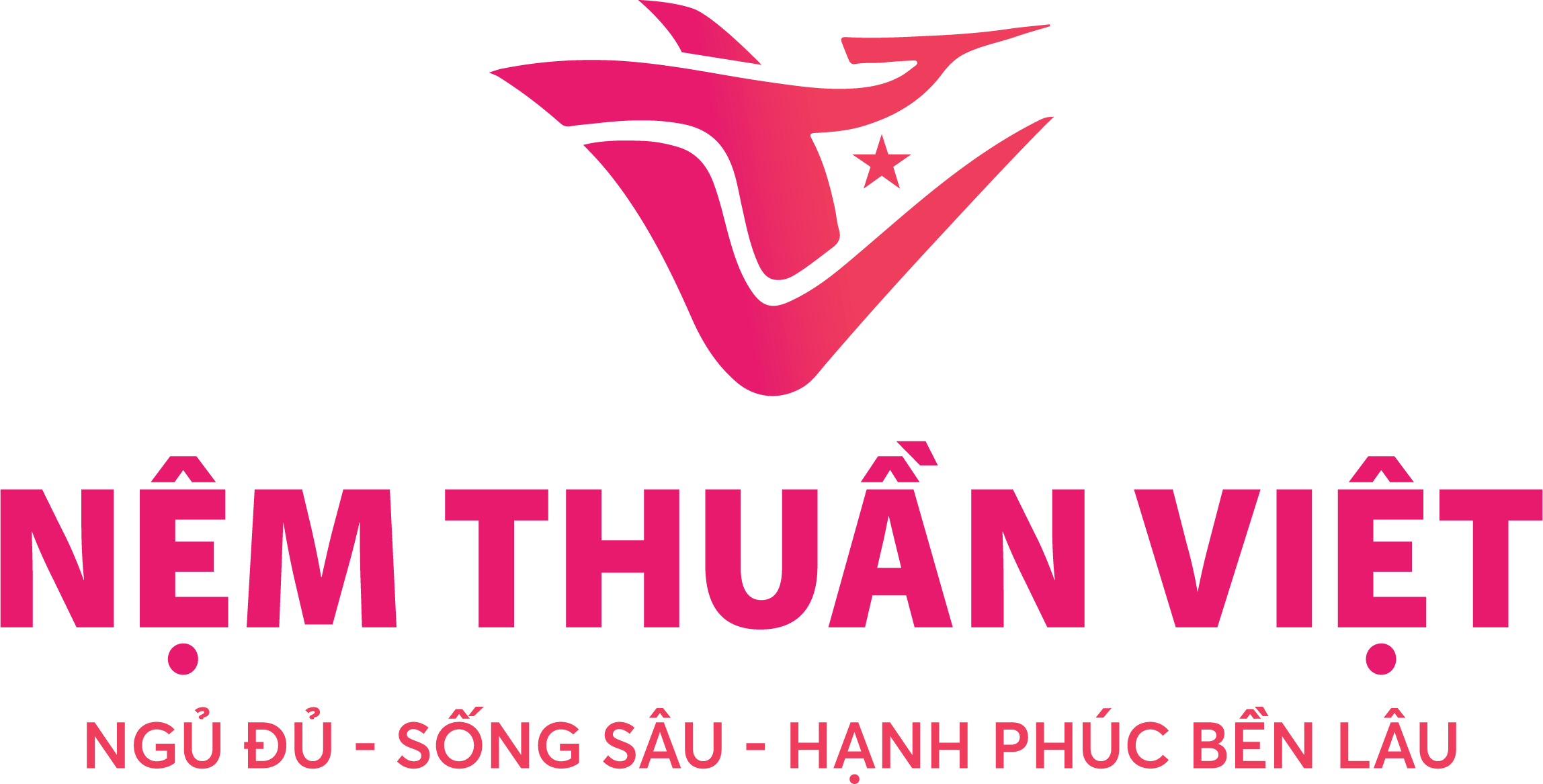 Nệm Thuần Việt – Nệm Cao Su, Nệm Foam, Nệm Lò Xo