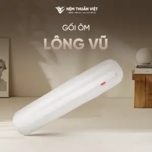 [Tặng] 1 Gối Ôm Lông Vũ Airy Thuần Việt