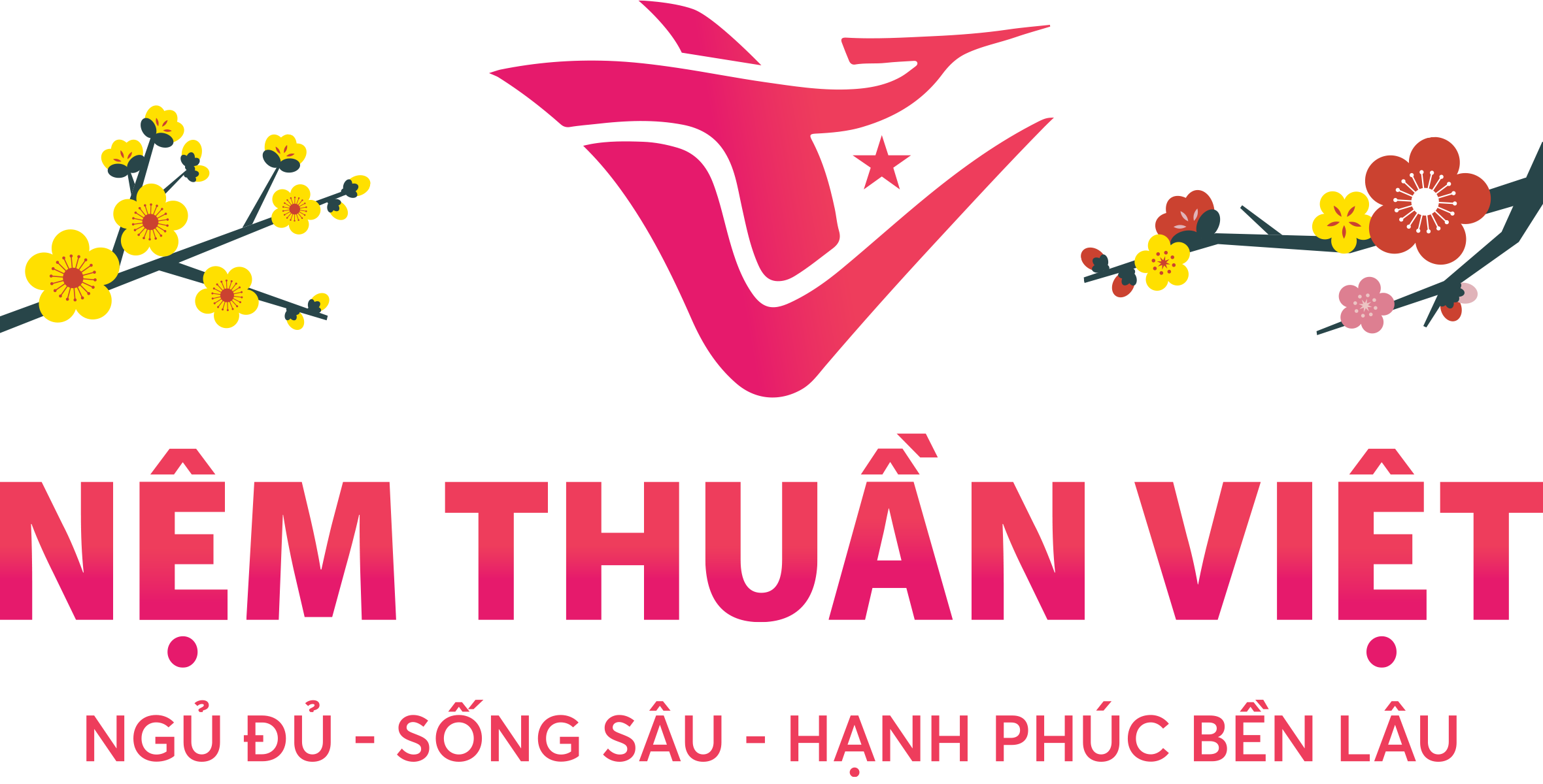 Nệm Thuần Việt – Nệm Cao Su, Nệm Foam, Nệm Lò Xo