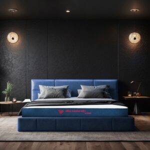 Nệm Foam cao cấp phân vùng Thuần Việt 3'Zone - Nâng đỡ 3 vùng chuyên sâu