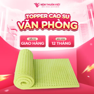 Nệm Cao Su Văn Phòng Thuần Việt