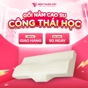 Gối Nằm Cao Su Công Thái Học Thuần Việt