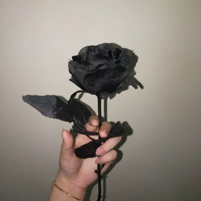 Hoa hồng đen có ý nghĩa gì? Có nên tặng không?