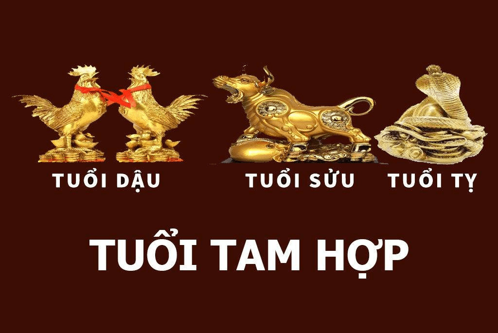 Tuổi Sửu Có Hợp Với Tuổi Tỵ Không?