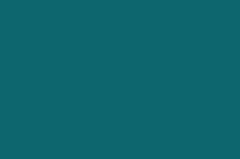 Tìm hiểu về màu xanh cổ vịt: Một tông màu đầy tính thẩm mỹ