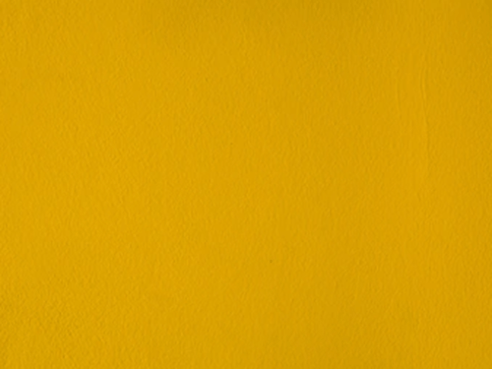Màu vàng đất là gì? Màu sơn nhà màu vàng đất không thể bỏ qua