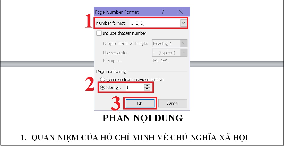 cách đánh số trang trong Word từ một trang bất kỳ