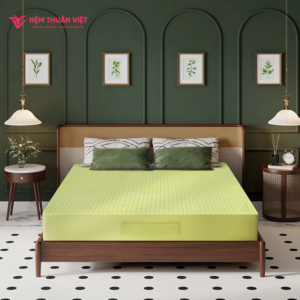 Nệm Cao Su Thiên Nhiên Thuần Việt Green Premier - Phiên bản hỗ trợ công nghệ Kháng khuẩn vượt trội