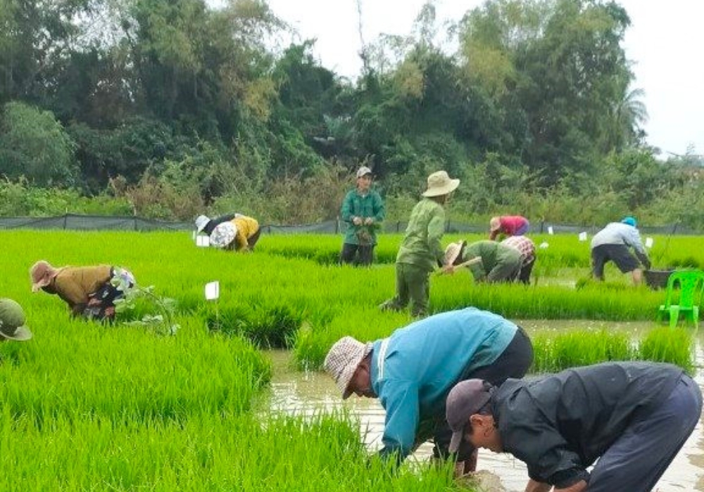 Ý nghĩa ngày 9/3 âm lịch