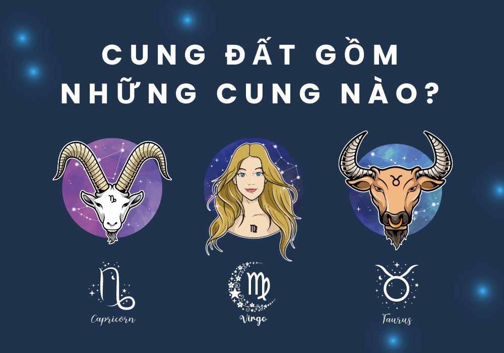 cung-dat-gom-nhung-cung-nao