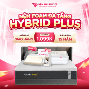 Nệm Foam Latex Thuần Việt Hybrid Plus - Nâng tầm giấc ngủ với công nghệ 5IN1, nâng đỡ từng vùng chuyên sâu