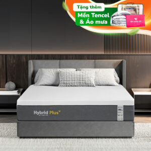 Nệm Foam Latex Thuần Việt Hybrid Plus - Nâng tầm giấc ngủ với công nghệ 5IN1, nâng đỡ từng vùng chuyên sâu