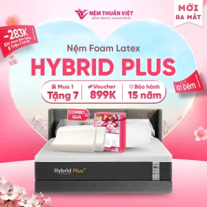 HYBRID PLUS 8/3