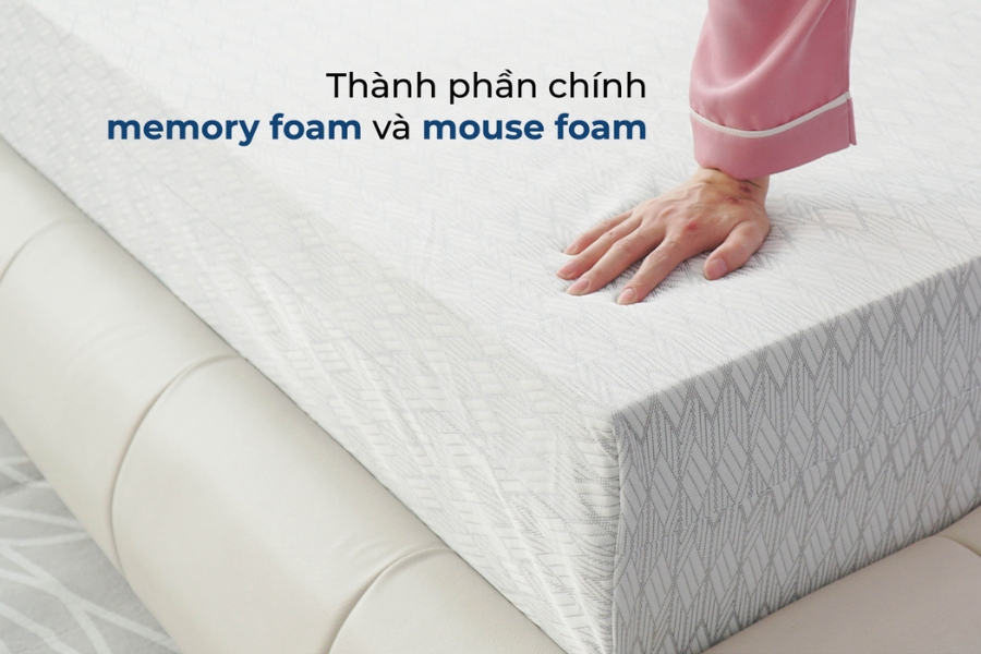 nem-foam-thuan-viet-premium