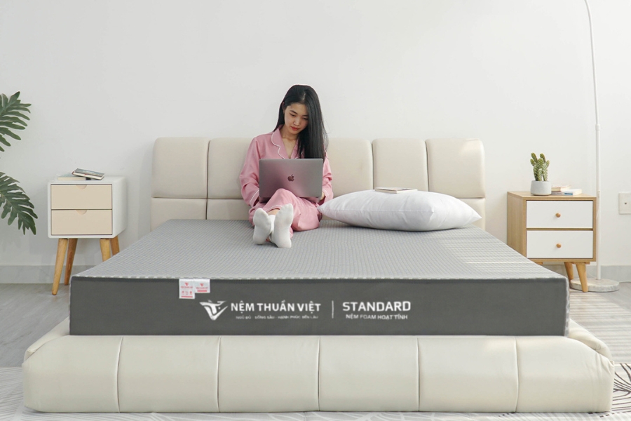 nem-foam-thuan-viet-standard