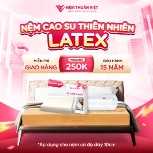Nệm cao su thiên nhiên Thuần Việt Latex - Siêu đàn hồi, êm ái, nâng đỡ từng đường cong trên cơ thể