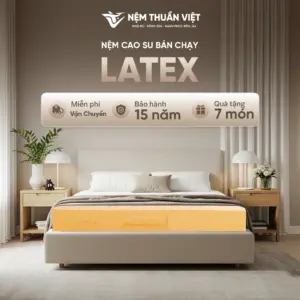 Nệm cao su thiên nhiên Thuần Việt Latex – Siêu đàn hồi, êm ái, nâng đỡ từng đường cong trên cơ thể