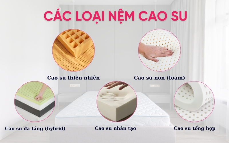 nệm cao su có mấy loại