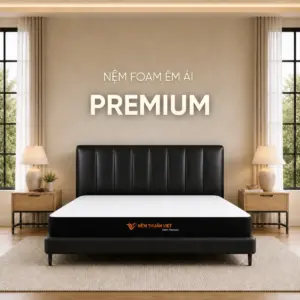 Nệm Foam Thuần Việt Premium – Hỗ trợ nâng đỡ vùng lưng
