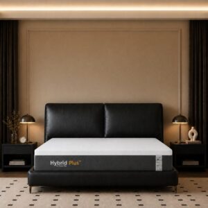 Nệm Foam Latex Thuần Việt Hybrid Plus - Nâng tầm giấc ngủ với công nghệ 5IN1, nâng đỡ từng vùng chuyên sâu