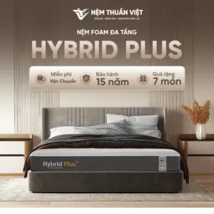 Nệm Foam Latex Thuần Việt Hybrid Plus - Nâng tầm giấc ngủ với công nghệ 5IN1, nâng đỡ từng vùng chuyên sâu