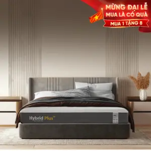 Nệm Foam Latex Thuần Việt Hybrid Plus - Nâng tầm giấc ngủ với công nghệ 5IN1, nâng đỡ từng vùng chuyên sâu