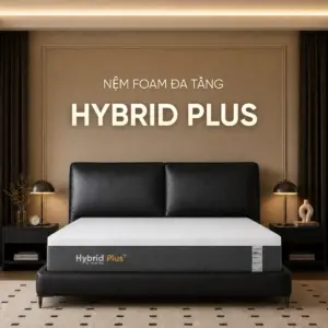 hybrid plus