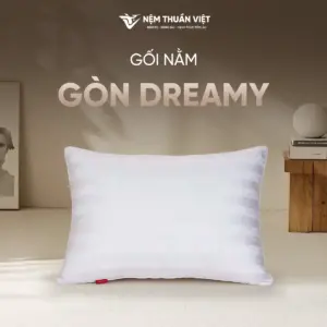 [Tặng] 02 Gối Nằm Gòn Cao Cấp