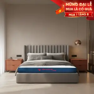 Nệm Foam cao cấp phân vùng Thuần Việt 3’Zone – Nâng đỡ 3 vùng chuyên sâu