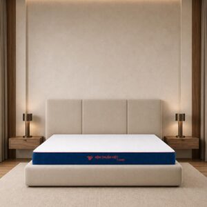 Nệm Foam cao cấp phân vùng Thuần Việt 3’Zone – Nâng đỡ 3 vùng chuyên sâu