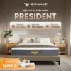 nem-cao-su-president