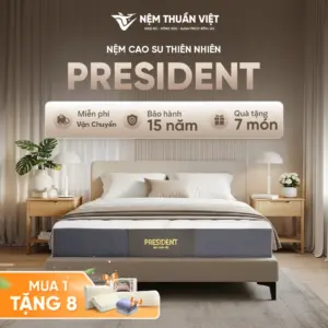 nem-cao-su-president