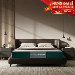 Nệm Cao Su Thiên Nhiên Thuần Việt Green Premier