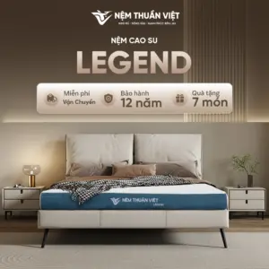 Nệm cao su Thuần Việt Legend – Chuyên gia nâng đỡ vùng lưng