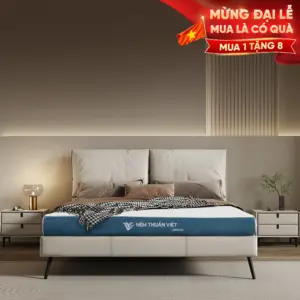 Nệm cao su Thuần Việt Legend – Chuyên gia nâng đỡ vùng lưng