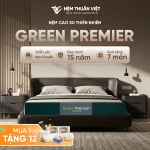 nem-cao-su-green-premier