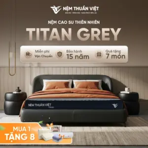 nem-cao-su-titan-grey