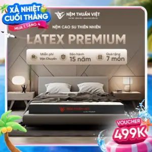 Nệm cao su Latex Premium