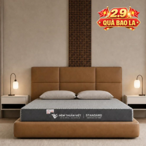 Nệm Foam Thuần Việt Standard – Nệm foam êm ái nâng đỡ